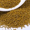 MIYUKI Delica Beads SEED-X0054-DB2106-1