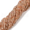 Natural Gold Sunstone Beads Strands G-RM2025-01-4mm-2