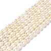 Natural Cultured Freshwater Pearl Beads Strands PEAR-E016-169-1