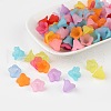 Mixed Color Frosted Acrylic Beads X-PL692-1