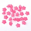 Transparent Acrylic Beads PL560-2-2