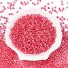 6/0 Transparent Inside Colours Glass Seed Round Beads X1-SEED-N006-004M-2