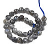Natural Labradorite Beads Strands G-N327-03A-06-2