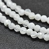 Natural Rainbow Moonstone Beads Strands X-G-O186-D02-3