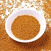 MIYUKI Delica Beads X-SEED-J020-DB2104-2