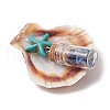 14Pcs 14 Styles Natural Scallop Shell Beads with Glass Jar Glass Bottles Stone Pendants PALLOY-JF03564-5