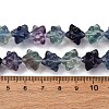 Natural Fluorite Beads Strands G-NH0063-01-5