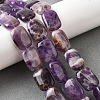 Natural Amethyst Beads Strands G-S386-A12-1