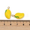 Brass Alloy Pendants KK-R226-16G-02-3