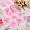 Polyester Lace Ribbons OCOR-WH0082-213C-4
