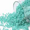 TOHO Round Seed Beads X-SEED-TR11-0920-1