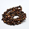 Chip Natural Tiger Eye Beads Strands G-N0134-09-2