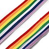 Rainbow Color Polyester Ribbon RABO-PW0001-129-2