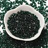 Spray Painted Glass Seed Beads SEED-F005-10A-01-2