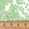 Ceylon Glass Seed Beads SEED-K009-02B-27-4