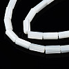 Natural Trochid Shell/Trochus Shell Beads Strands SSHEL-S266-020A-01-3