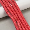 Synthetic Turquoise Beads Strands G-V003-A01-06-1