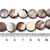 Natural Sea Shell Beads Strands SSHEL-D084-13A-4
