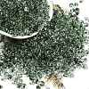 6/0 Spray Paint Glass Seed Beads X1-SEED-H003-11I-1
