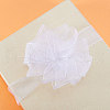 Organza Ribbon ORIB-T001-12mm-1001-5