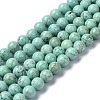 Natural Howlite Beads Strands G-C180-17C-1