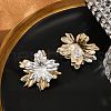 Brass Stud Earrings EJEW-P301-15-2