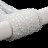Transparent Glass Beads Strands X1-EGLA-A034-T4mm-MB19-2