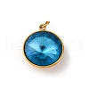 316 Stainless Steel Faceted Glass Pendants STAS-K258-46G-2