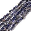 Natural Sodalite Beads Strands G-E115-01-1