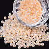 8/0 Glass Seed Beads SEED-US0003-3mm-147-1