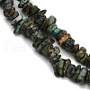 Natural African Turquoise(Jasper) Beads Strands G-F794-A01-4