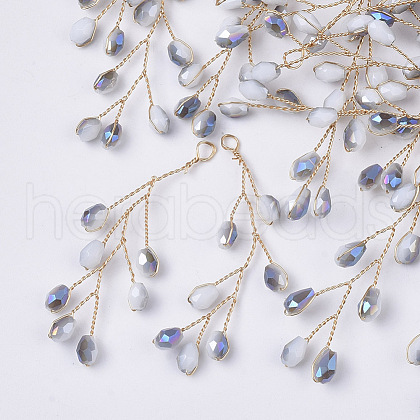 Glass Seed Beads Wire Wrapped Big Pendants FIND-S306-14D-1