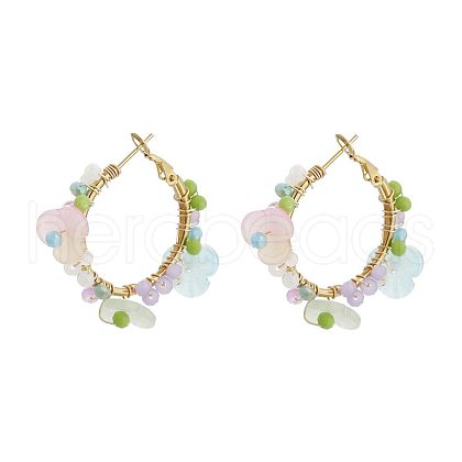 201 Stainless Steel Acrylic Hoop Earrings FS-WG443EA-06-1