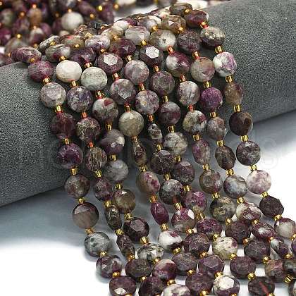Natural Plum Blossom Tourmaline Beads Strands G-C116-A156-01-1