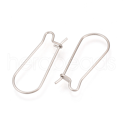 304 Stainless Steel Hoop Earrings Findings STAS-Q223-11C-1