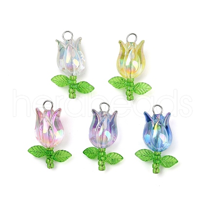 Acrylic Pendants PALLOY-JF03535-02-1