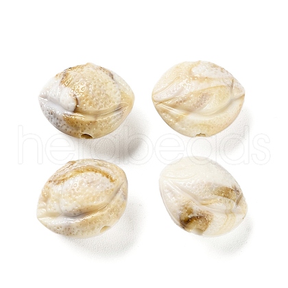Acrylic Shell Beads OACR-U004-04-1