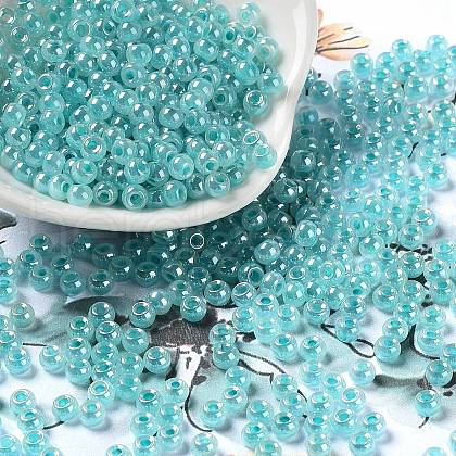 Glass Seed Beads SEED-H002-E-A1419-1