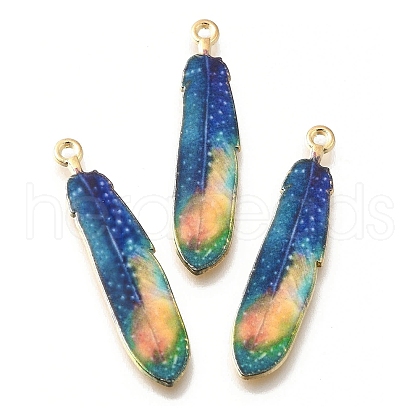 Alloy Enamel Pendants X-FIND-G078-34G-06-1