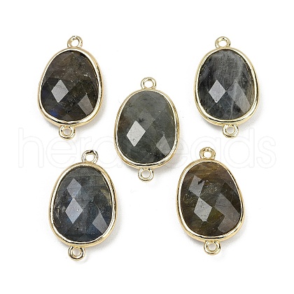 Natural Labradorite Faceted Connector Charms G-K347-11G-06-1