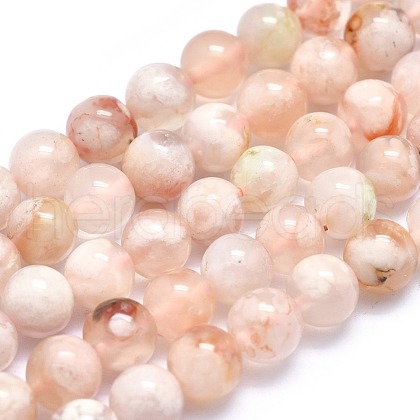 Natural Cherry Blossom Agate Beads Strands G-I213-23-6mm-1