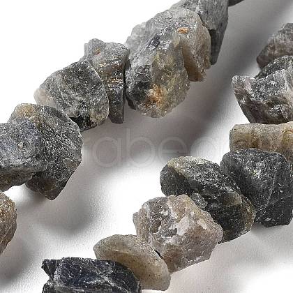 Raw Rough Natural Labradorite Beads Strands G-P528-A16-01-1