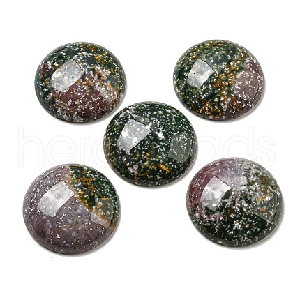 Natural Indian Agate Cabochons G-C115-02B-09-1