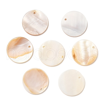 Natural White Shell Mother of Pearl Shell Pendants SSHEL-D080-1