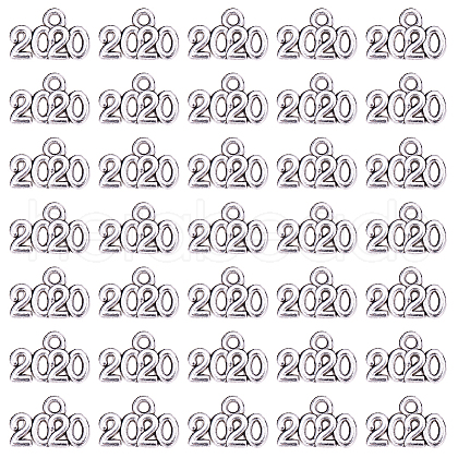 SUNNYCLUE Tibetan Style Zinc Alloy Charms PALLOY-SC0002-14AS-1