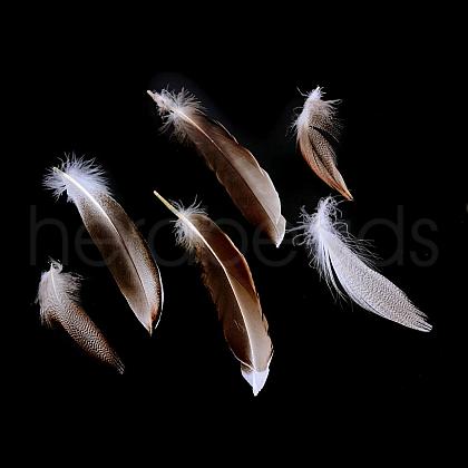 Chicken Feather Costume Accessories FIND-Q046-04-1