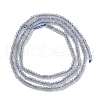 Natural Labradorite Beads Strands G-P553-F06-01-2