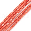 Natural Freshwater Shell Dyed Beads Strands SHEL-M018-12-02-1