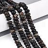 Natural Biotite Beads Strands G-T140-69A-1