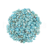 Synthetic Turquoise Chip Bead Strands G-CJ0001-09-3